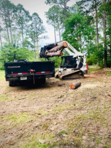 A skid steer loading cut tree logs into a dump trailer during cleanup by Climbing High Tree Specialists, LLC in Biloxi, MS.