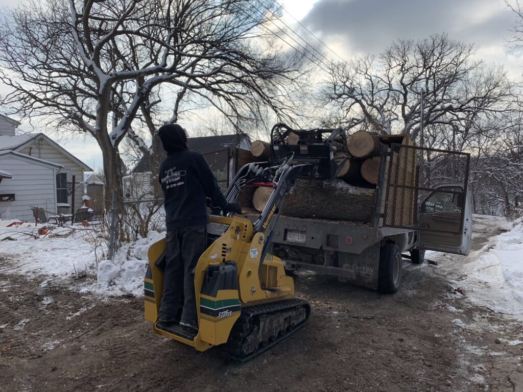A tree service worker using a skid steer loader to load large logs onto a truck for South "O" Tree and Stump in Omaha, NE.