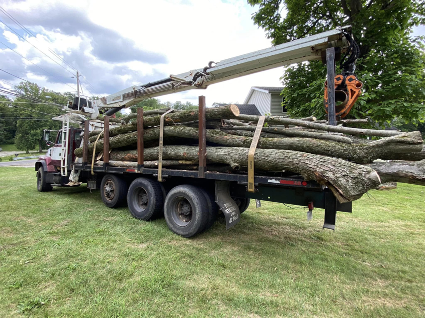 A log truck with a crane arm loaded with cut tree logs from a job by Triple T tree service in Houston, TX.