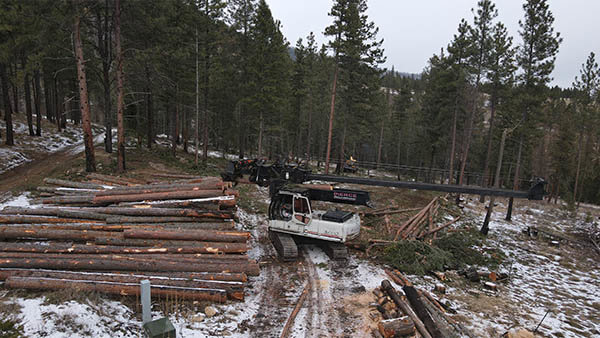 A logging machine processing trees and creating log piles in a snowy forest for Martelli Forestry in Anaconda, MT.