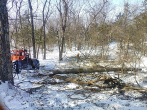 A logging operation with a skidder and felled trees in a snowy forest by KT Farms, Tree Service & Logging LLC in Springfield, MO.
