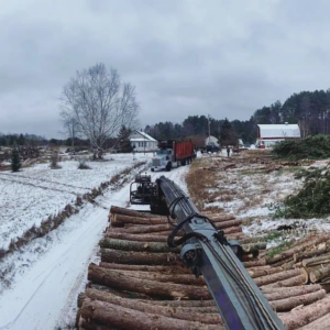 A large logging operation with a crane loading logs onto a truck in winter by Klee Logging & Tree Service Inc. in Green Bay, WI.