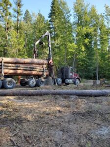 A logging truck with a grapple loader actively loading timber onto its trailer for Flathead Tree Services in Kalispell, MT