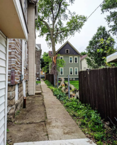 Freshly cut logs stacked after a tree removal service by Triple Acorn Tree Service in a residential area of Portland, OR.