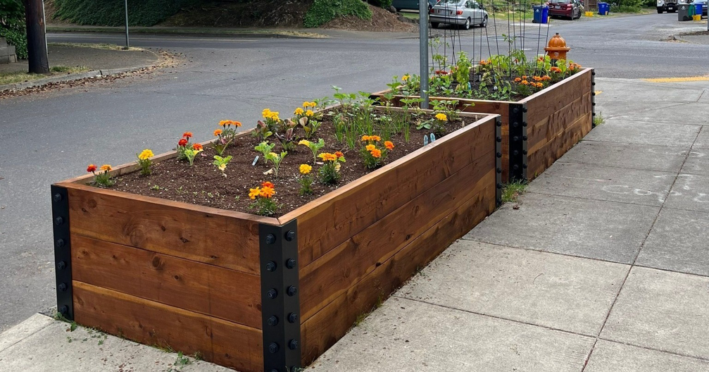 Two long custom wooden raised garden beds filled with plants along a sidewalk by PNW Home Improvements, LLC in Portland, OR