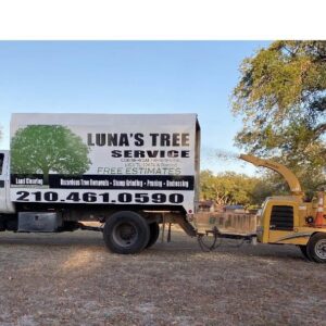 A close-up of a Luna's Tree Service truck displaying the business name, logo, and services offered in San Antonio, TX.