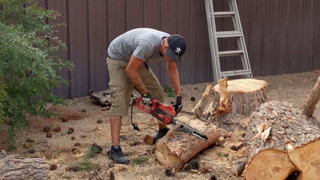 A man cutting a log with a chainsaw, demonstrating tree removal services by tree trimming trio in Carlsbad, NM.