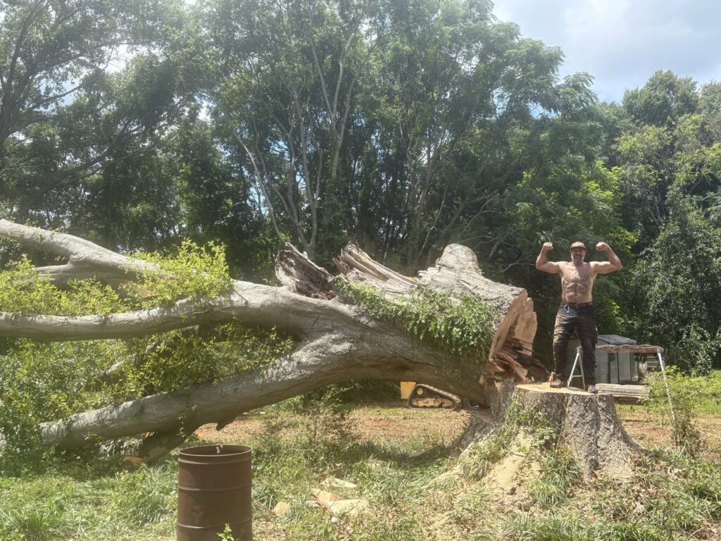 A man flexing next to a large fallen tree trunk and stump, showcasing a completed tree removal by Knotty Branches Tree Service in Macon, GA.