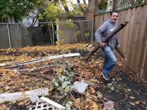 A Green Clover team member removing large tree branches and yard debris from a residential yard in Quincy, MA.