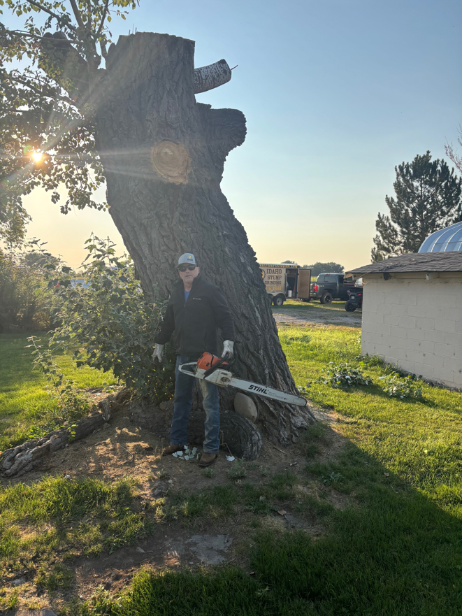 A man holding a chainsaw next to a large, recently cut tree trunk, performed by Idaho Stump Grinding in Twin Falls, ID.