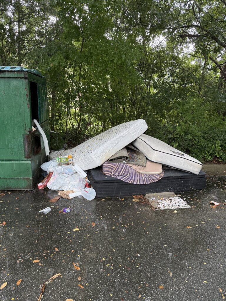 Mattresses, a box spring, and household trash piled next to a dumpster, awaiting junk removal by Reliable Pro in Tallahassee, FL.