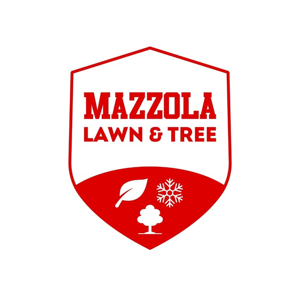 Mazzola Lawn and Tree