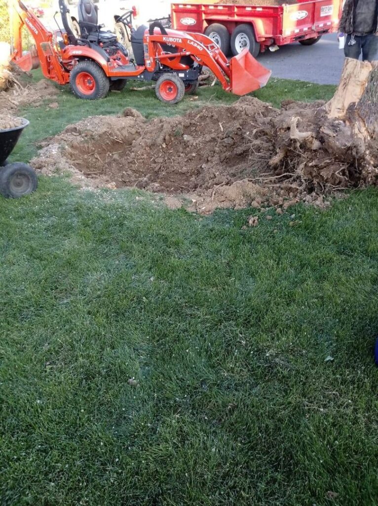 A mini excavator digging a large hole for stump removal, with a large tree stump nearby, performed by Rustyn Page Landscaping in Harrisburg, PA.
