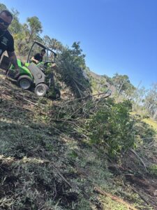 A worker operating a mini skid steer loader to clear brush and branches, part of land clearing by Souza & Son's Tree Service in Jacksonville, FL.