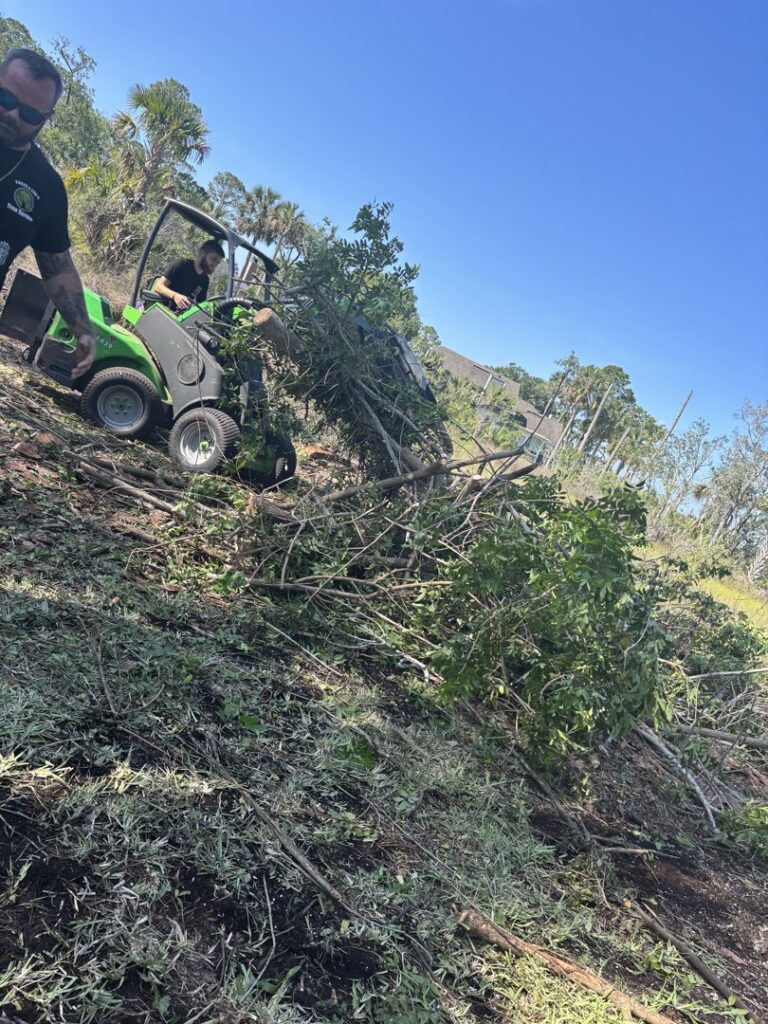 A worker operating a mini skid steer loader to clear brush and branches, part of land clearing by Souza & Son's Tree Service in Jacksonville, FL.