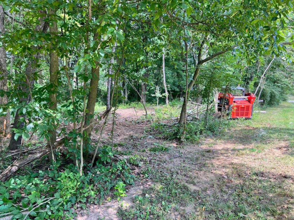 A red mini skid steer with a mulching attachment clearing brush and small trees in a wooded area by Kingdom Tree Company in North Canton, OH.