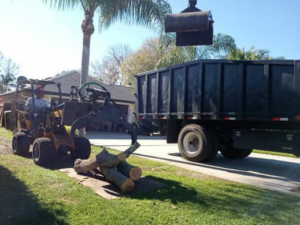 A mini skid steer moving logs for cleanup by YardFellas Tree Services in Casselberry, FL.