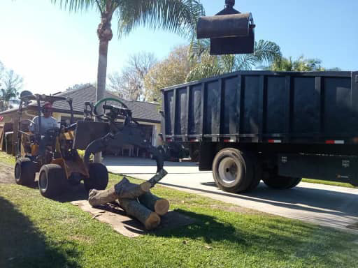 A mini skid steer moving logs for cleanup by YardFellas Tree Services in Casselberry, FL.