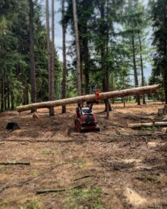 A mini skid steer with a grapple attachment efficiently moving a large tree log through a wooded area for Lake Forest Tree Service LLC in Milwaukee, WI.