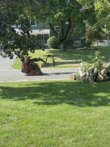 A mini skid steer moving a large tree log during cleanup by Flower City Tree in Rochester, NY.