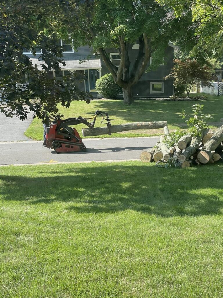 A mini skid steer moving a large tree log during cleanup by Flower City Tree in Rochester, NY.