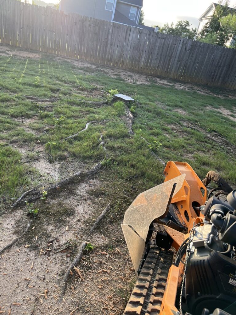 A mini skid steer used for root removal or stump grinding services by Sunny Meadows Land and Tree LLC in Birmingham, AL