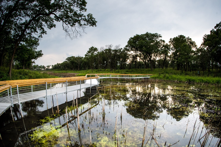 A modern boardwalk with metal railings extending over a wetland by Wickcraft Boardwalks in Madison, WI.