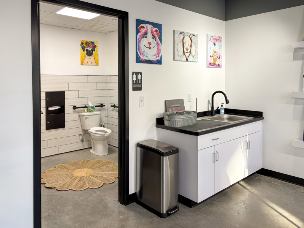 A newly installed modern restroom and utility sink area, showcasing quality work by Hoeft Builders, Inc. in Eau Claire, WI.