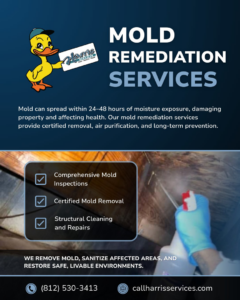 A mold remediation technician spraying a surface during a job by Harris Services in Bloomington, IN.