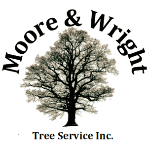 Moore & Wright Tree Service