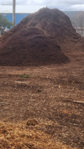A mountain of dark, rich mulch ready for landscaping projects from Lp Tree Service in Janesville, WI