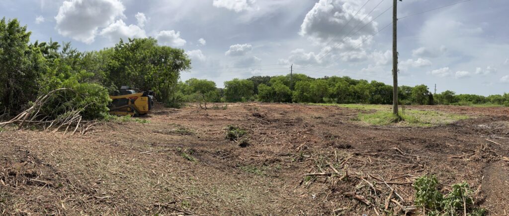 A large area of land after mulching and site preparation, showcasing services by DLT Land Management in Tampa, FL.