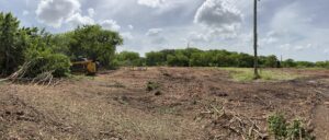 A large area of land after mulching and site preparation, showcasing services by DLT Land Management in Tampa, FL.