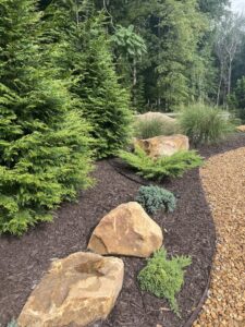 A freshly mulched garden bed with various plants and decorative rocks by Rainscapes in Louisville, TN.