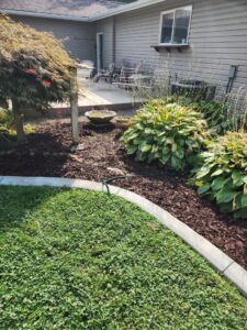 A neatly mulched garden bed featuring lush hostas and other plants, maintained by Battleship Property Maintenance in Lewiston, ID.