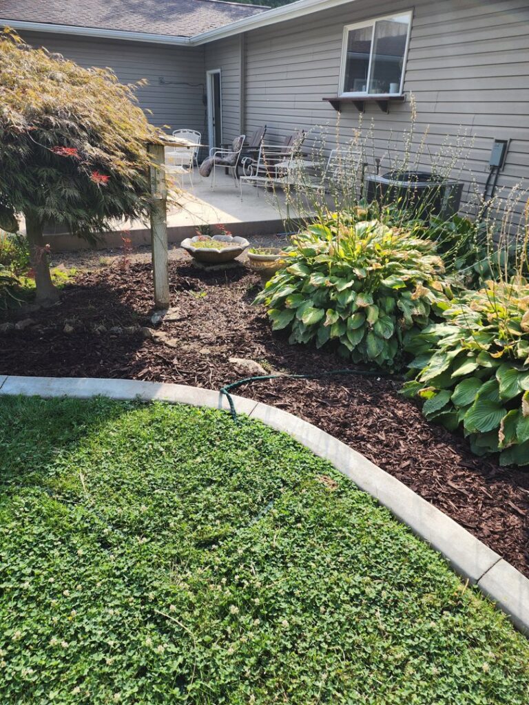 A neatly mulched garden bed featuring lush hostas and other plants, maintained by Battleship Property Maintenance in Lewiston, ID.