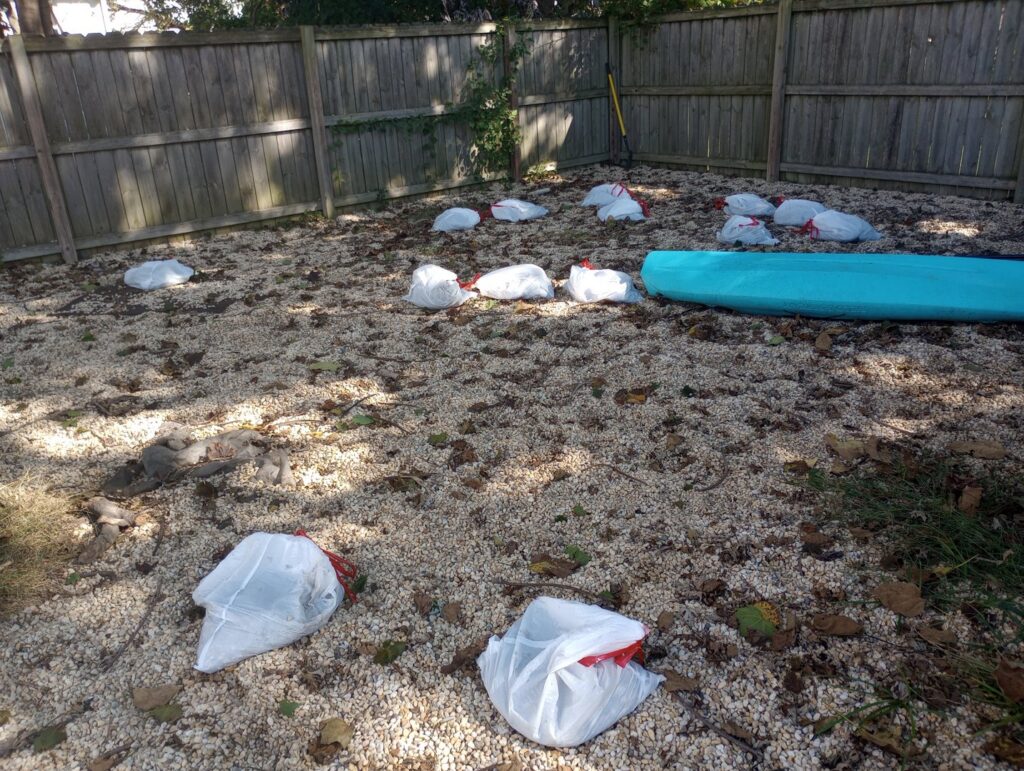Several white bags of collected pet waste neatly arranged on a gravel yard, showcasing a cleanup service by They Poop We Scoop in Lewes, DE.