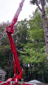 Multiple lifts and a chipper used by Cassella Tree Service for a large tree removal in South Portland, ME.