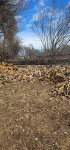 Several large piles of neatly cut firewood stacked in a yard, indicating recent tree service work by Jv Tree Service, LLC in Greeley, CO.