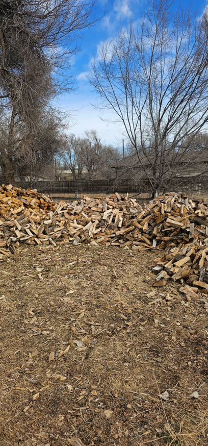Several large piles of neatly cut firewood stacked in a yard, indicating recent tree service work by Jv Tree Service, LLC in Greeley, CO.