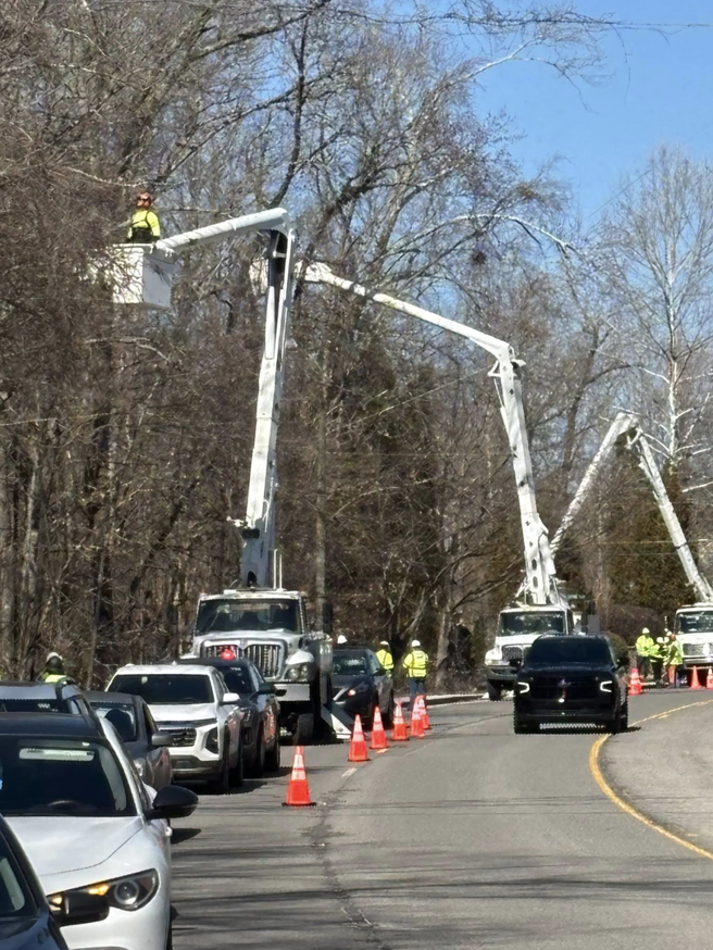 Multiple Ox Tree service trucks and workers performing tree work along a road in Birmingham, AL.
