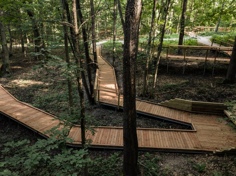 Multiple wooden boardwalks and accessible ramps winding through a dense forest by Wickcraft Boardwalks in Madison, WI.