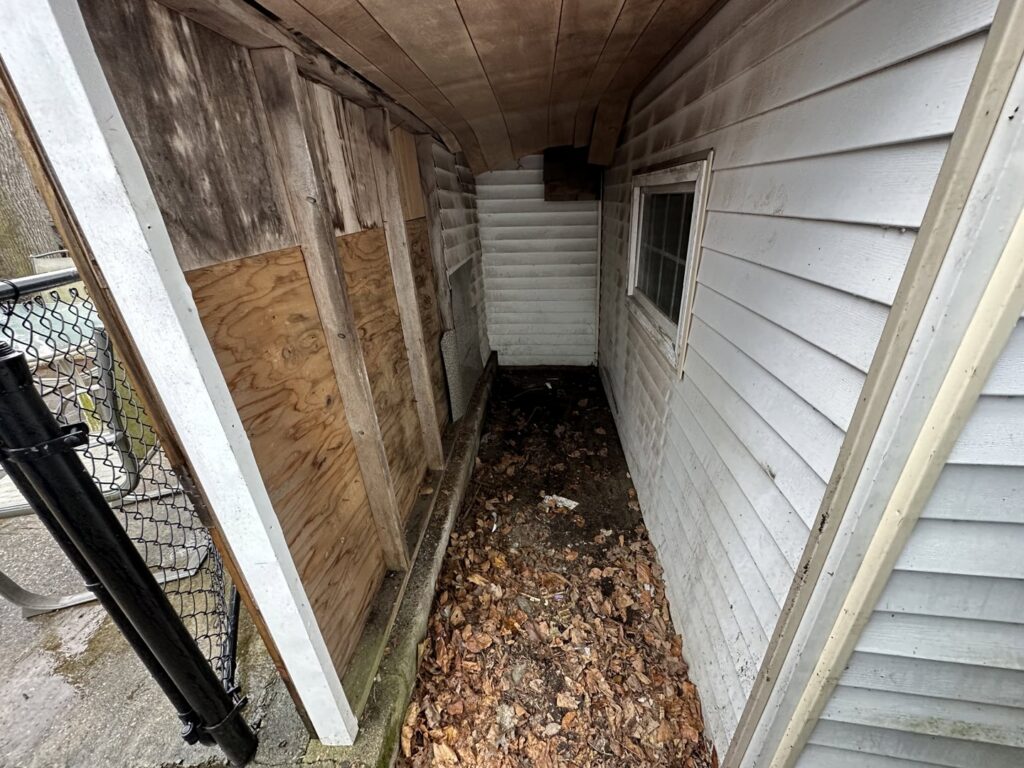 A narrow space between two buildings filled with leaves and debris, indicating a cleanout job for CK Junk Removal in New Bedford, MA