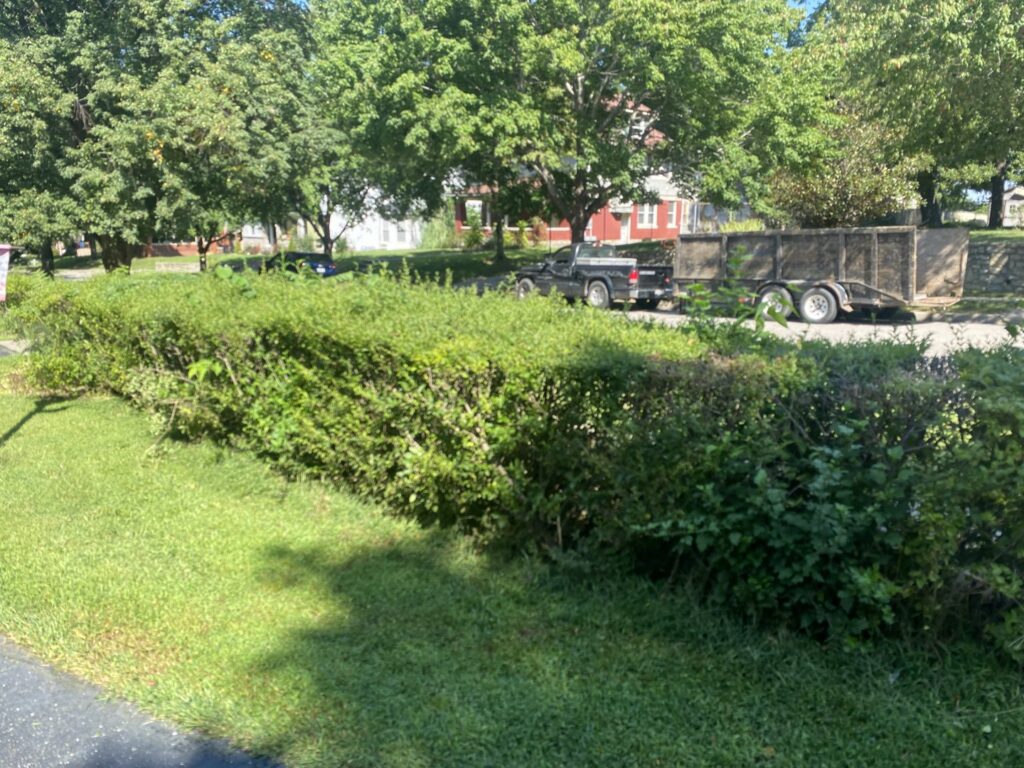 Neatly trimmed hedges along a sidewalk, demonstrating landscaping and yard maintenance by Little Tykes Property Preservation in Independence, MO.