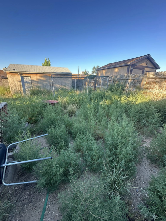 A neglected backyard with tall weeds needing removal by Appleton Residential Services in Rio Rancho, NM.