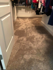 New carpet installed in a closet by Stapleford Flooring LLC in Milford, DE.