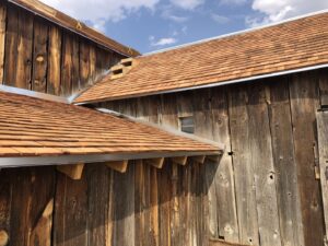 Installation of new cedar shake roofing and gutters on a rustic wooden building by Deep Roots Craftsmen in Fort Collins, CO.