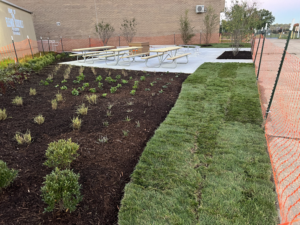Newly installed sod, planted garden beds, and picnic tables on a concrete patio by NARDI Construction, Inc. in Frederick, MD.