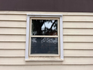 A newly installed window with white trim on a beige-sided house by McDonald Residential Contracting in Ames, IA.