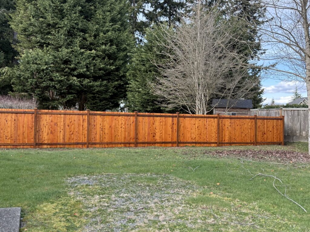 A newly installed wooden fence in a backyard by JP. Remodel Service LLC in Everett, WA.